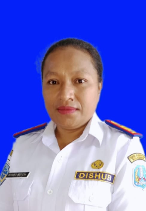 SELVIANA I. INDEY, S.Sos