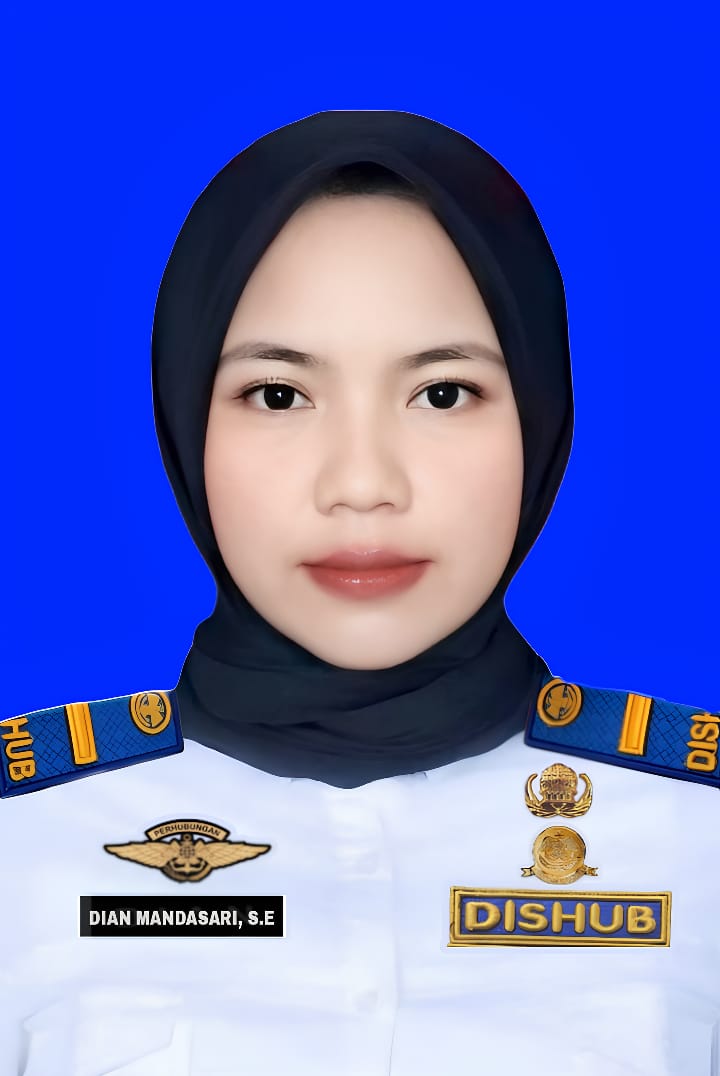 DIAN MANDASARI NURHAMKA, S.E